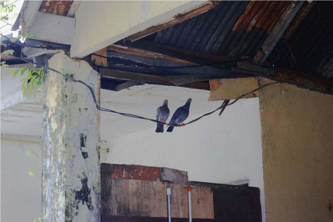 Projekt 2